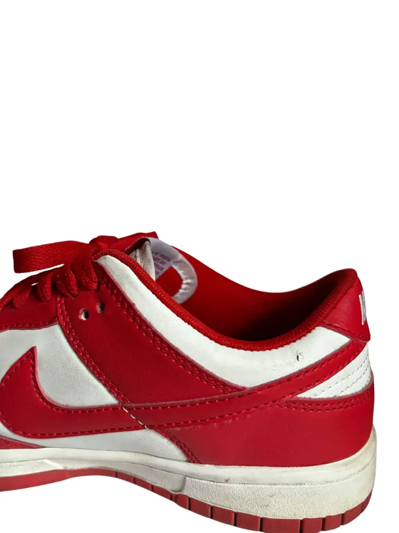 Zapatillas Nike Dunk Low - 6