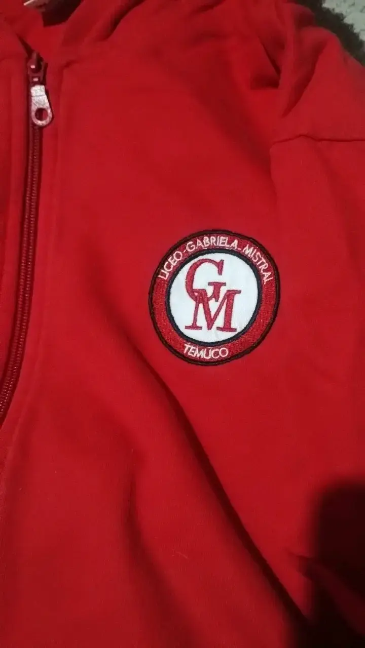 Polerón rojo con capucha Liceo Gabriela Mistral - 2
