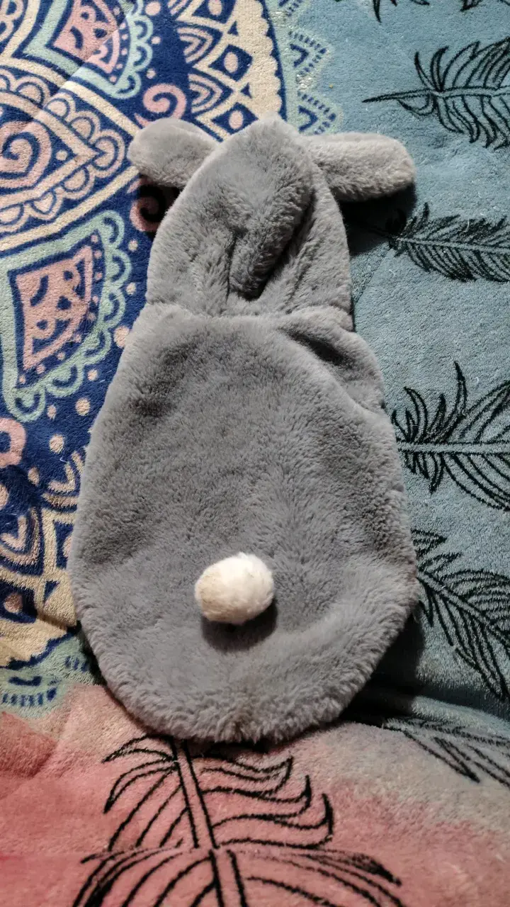 Ropita de conejo para mascota gris con flores - 2