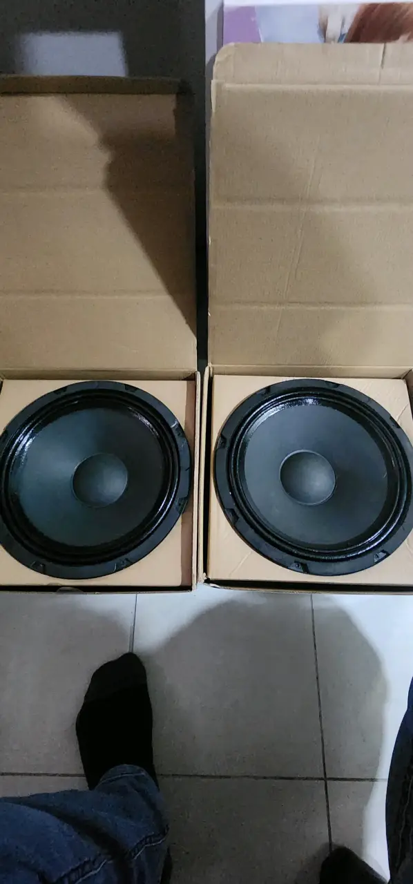 Parlante de Woofer 12 pulgadas marca alto - 4