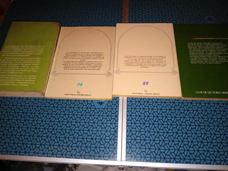 Colección de libros de poesía varios autores - 2