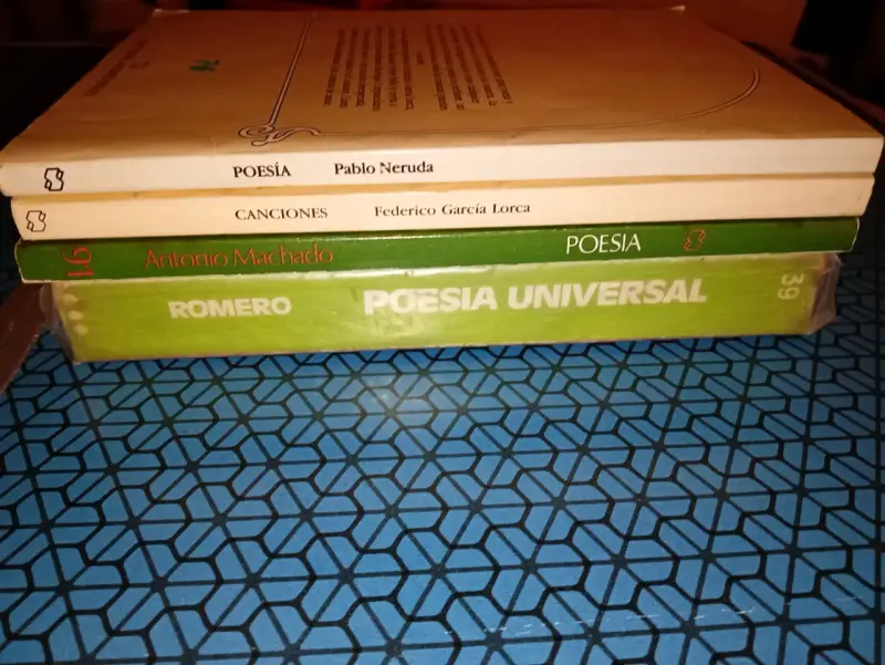 Colección de libros de poesía varios autores - 3