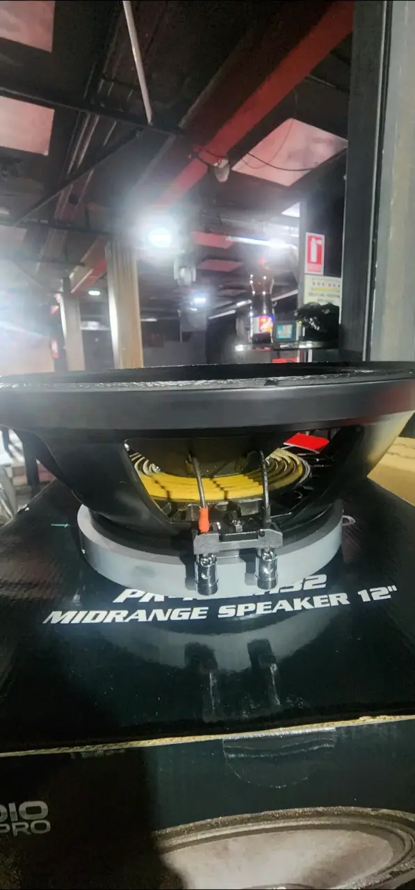 Parlante Midrange 12 pulgadas PR Audio Pro - 4