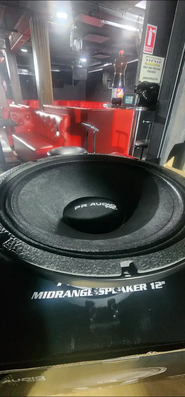 Parlante Midrange 12 pulgadas PR Audio Pro - 5