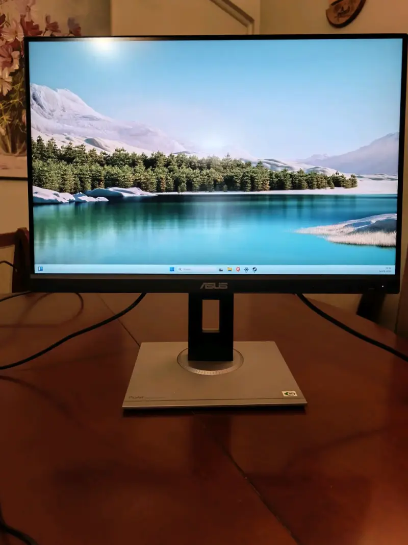 Monitor ASUS ProArt PA248QV 24 pulgadas - 1