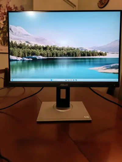 Monitor ASUS ProArt PA248QV 24 pulgadas - miniatura 1