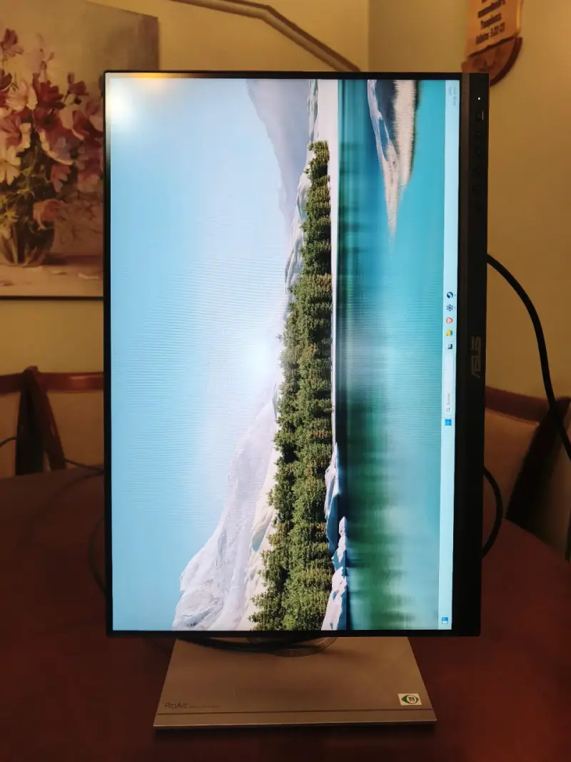 Monitor ASUS ProArt PA248QV 24 pulgadas - 2