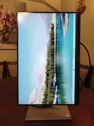 Monitor ASUS ProArt PA248QV 24 pulgadas - miniatura 2