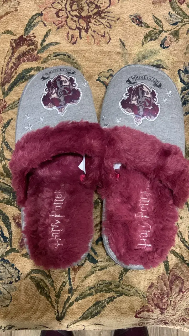 Pantuflas Gryffindor Harry Potter - 1