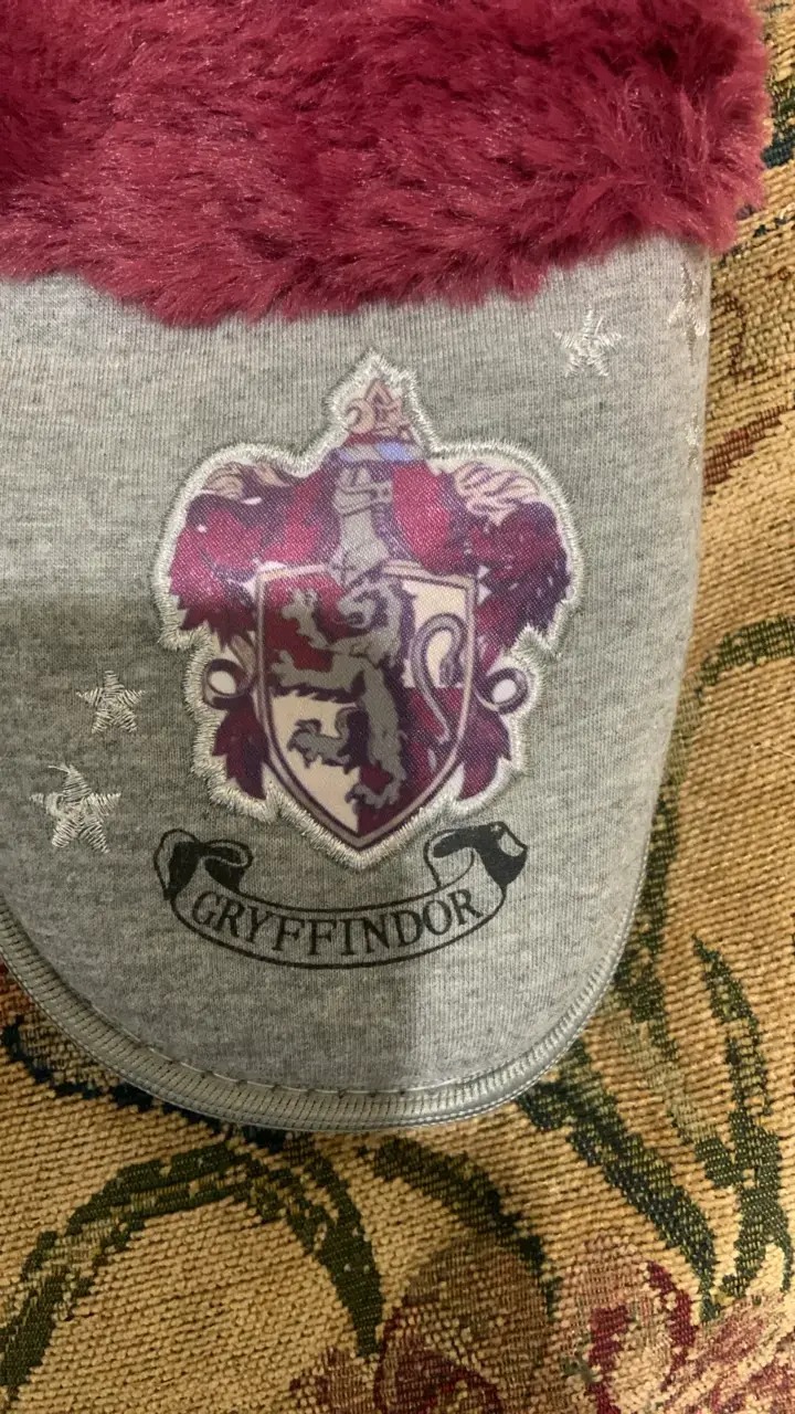 Pantuflas Gryffindor Harry Potter - 3