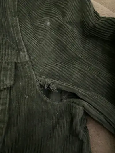 Chaqueta de pana verde con forro de lana Sybilla - miniatura 3