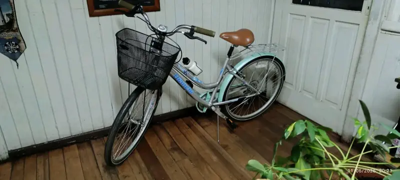 Bicicleta Urbana Bianchi con Canasto
