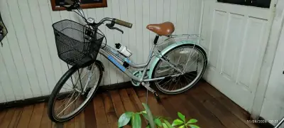 Bicicleta Urbana Bianchi con Canasto - miniatura 3