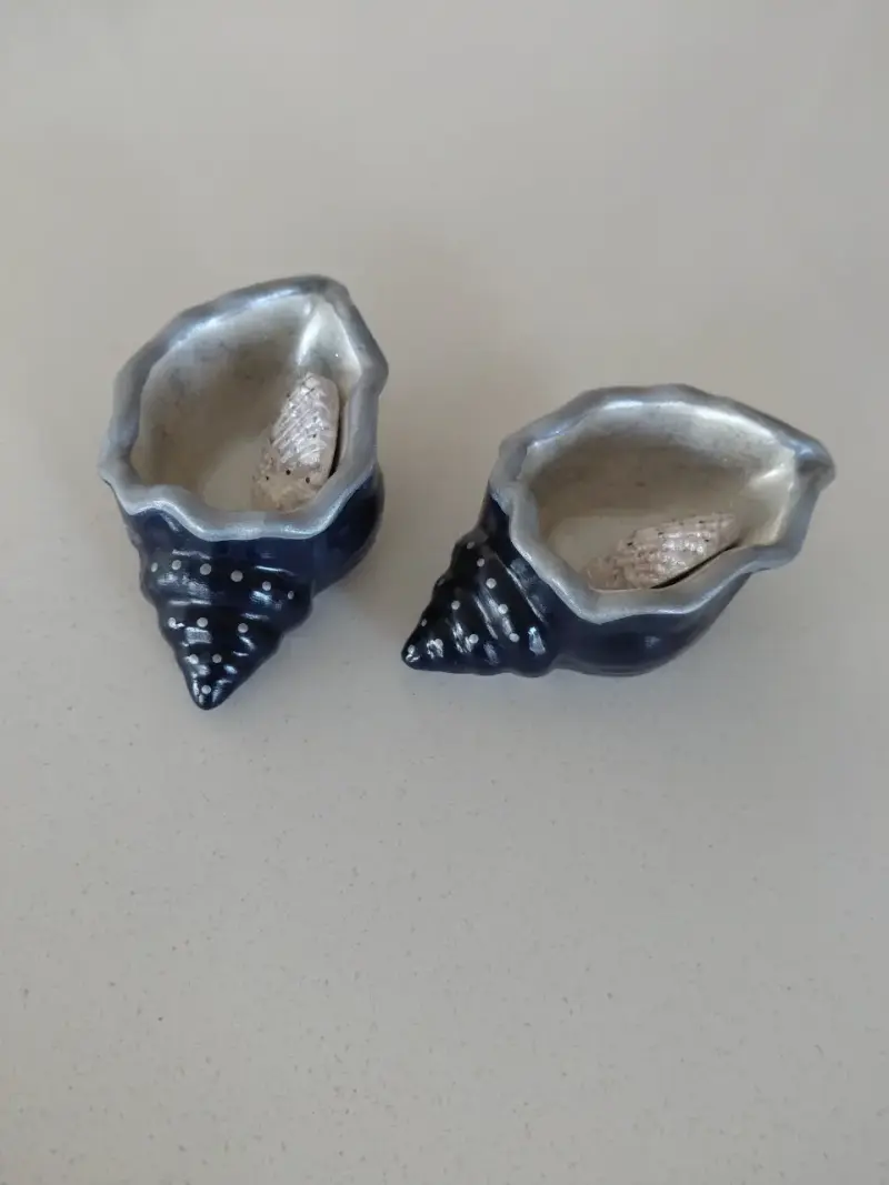 Set de platos decorativos en forma de estrella y c - 3
