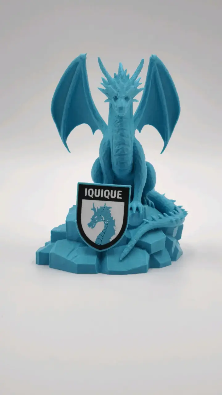 Dragón deportes Iquique