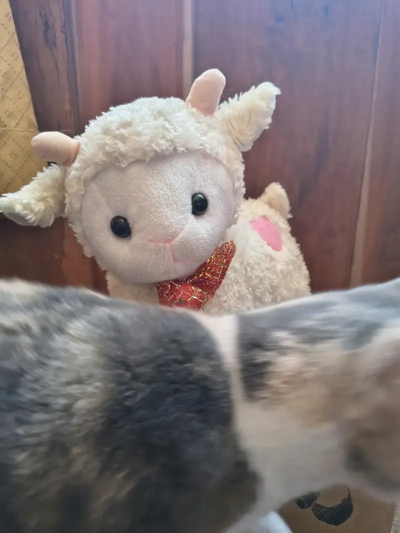 Peluche de oveja con bufanda roja - 3