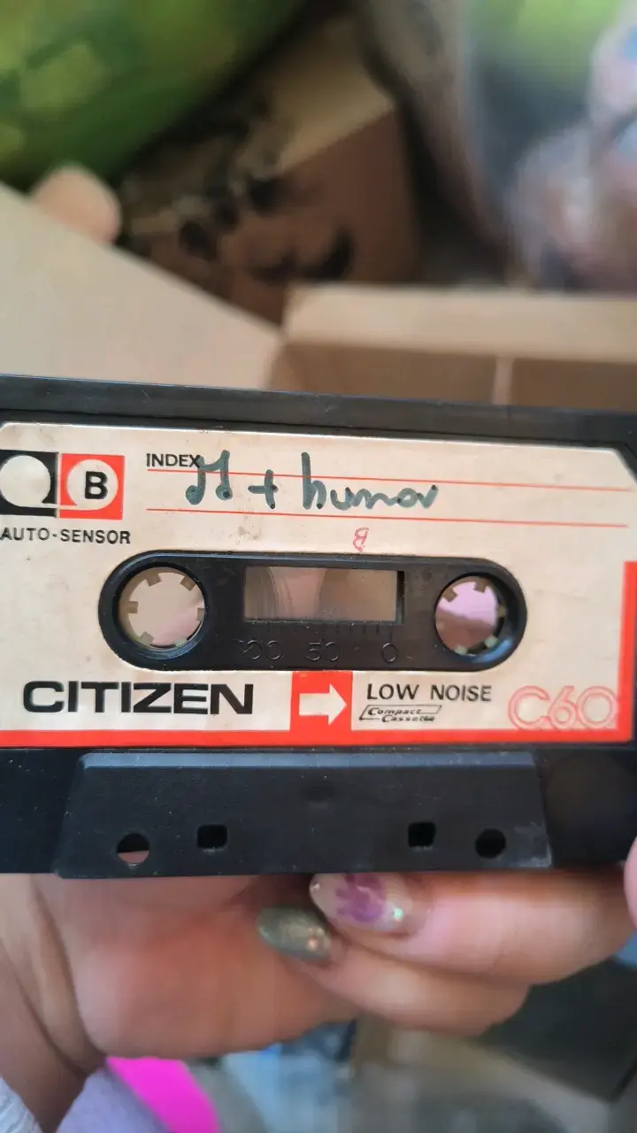 Lote de Cassettes de Audio Variados - 2
