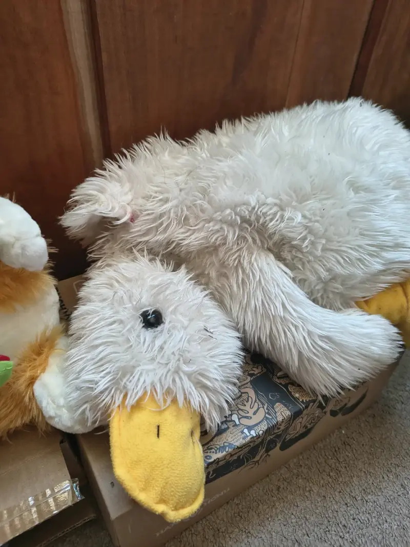 Peluches 3 x 5mil - 2
