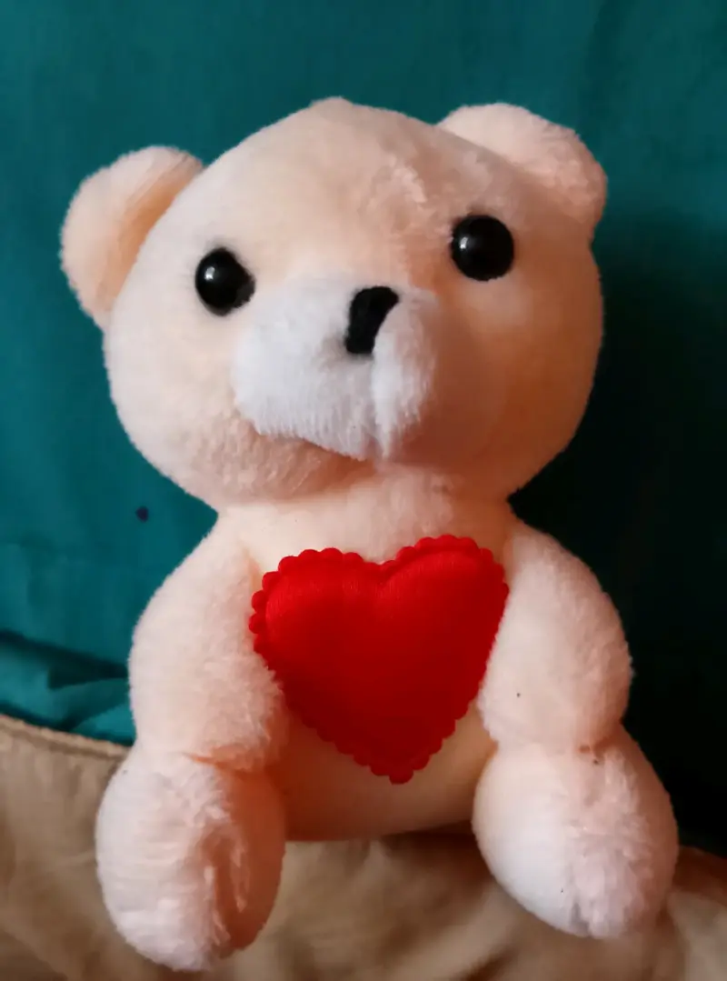 Osito de Peluche con Corazón Rojo