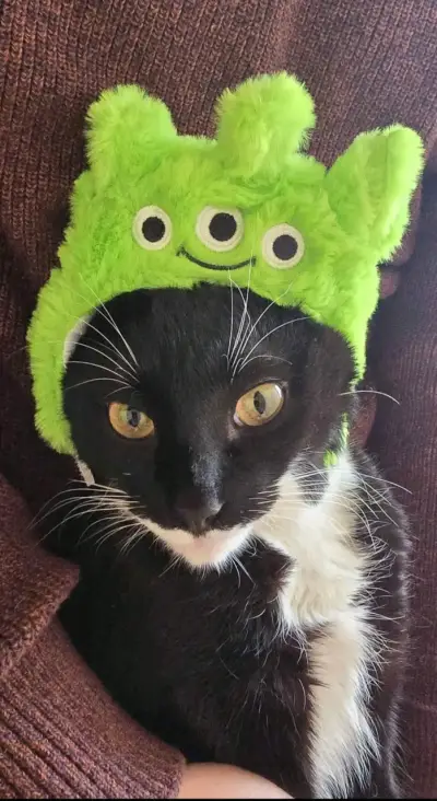 Gorro para gatito bb pixar - miniatura 2