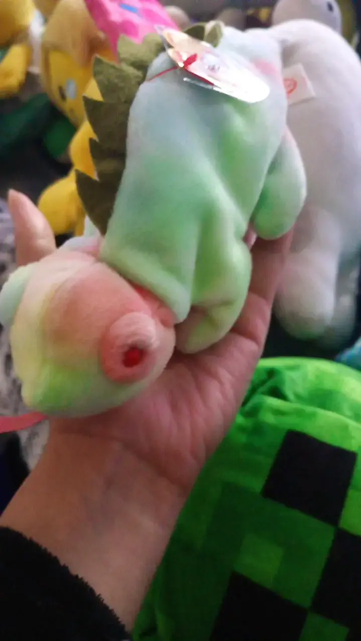 Pack 4 Peluches de semillas anti estres - 4
