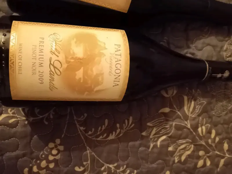 Vino Pinot Noir Patagonia Wild Lands 2009 - 1