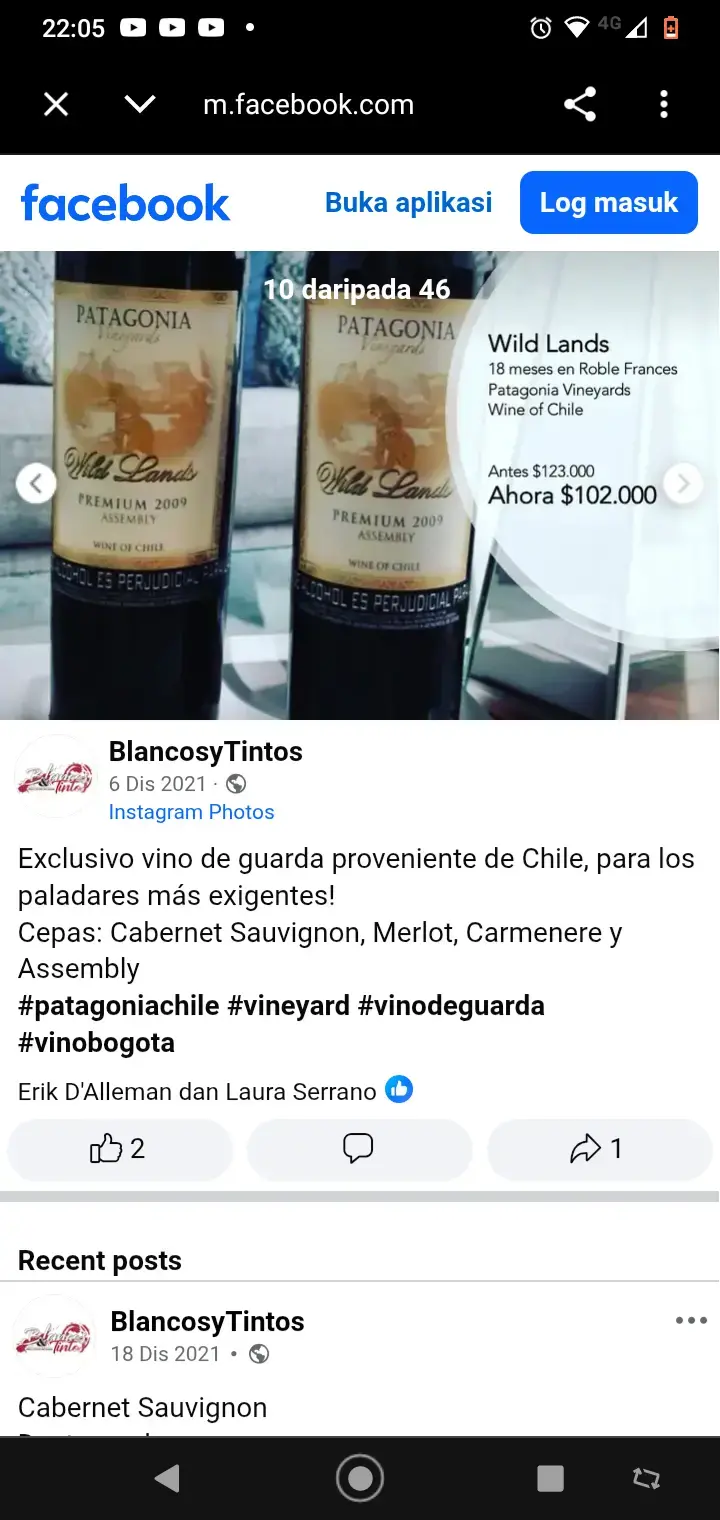 Vino Pinot Noir Patagonia Wild Lands 2009 - 2