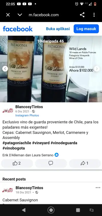 Vino Pinot Noir Patagonia Wild Lands 2009 - miniatura 2