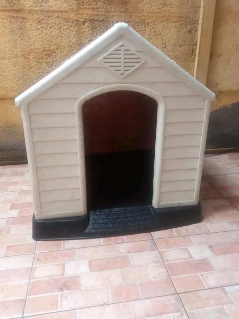 Casa grande perro pastor aleman - 2
