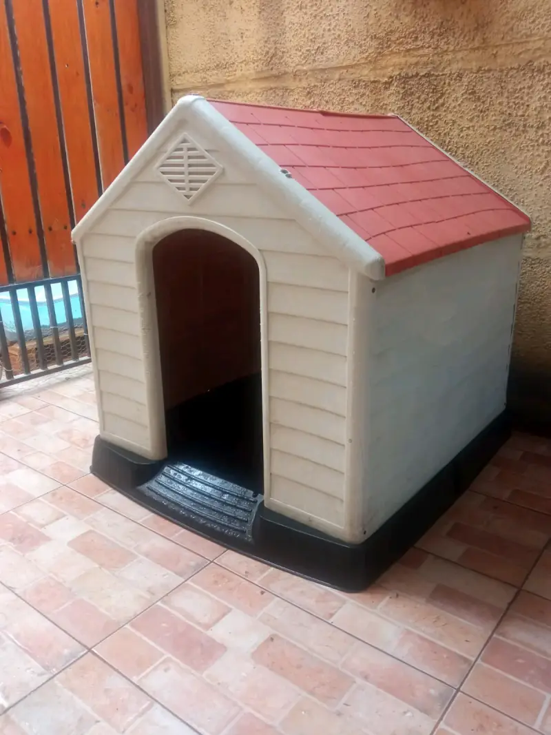 Casa grande perro pastor aleman - 3