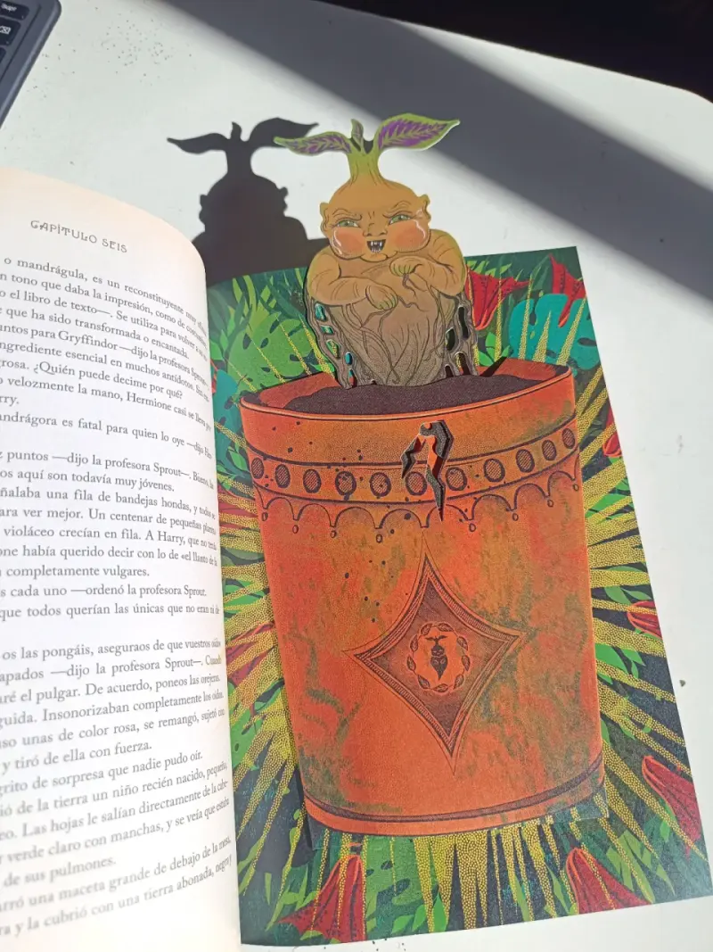 Libro Harry Potter y la Cámara Secreta - 3