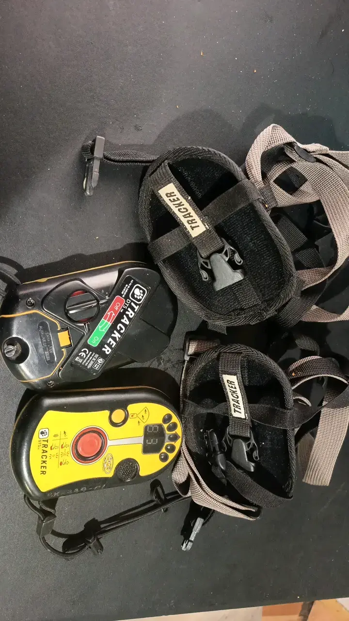 Transceptor de avalancha BCA Tracker DTS - 4