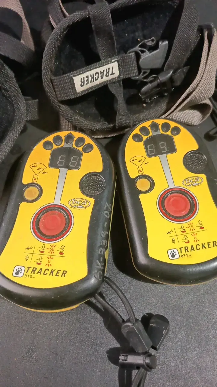 Transceptor de avalancha BCA Tracker DTS - 5