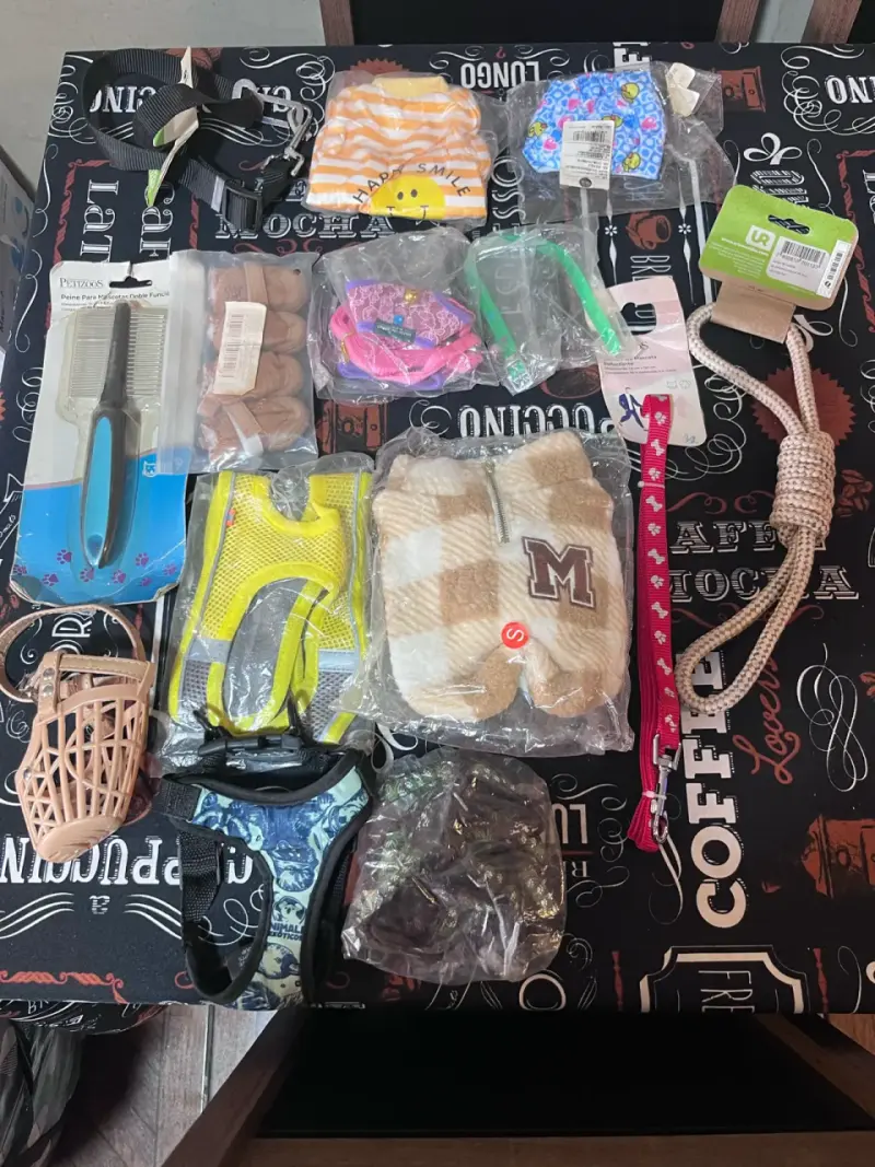 Lote de accesorios para mascotas variados