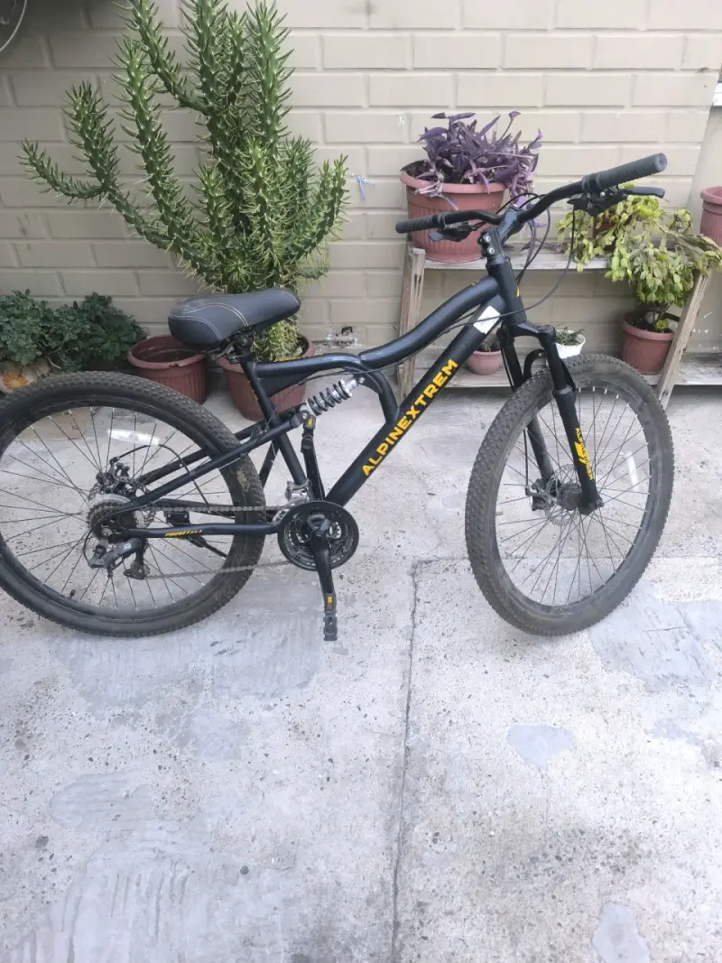2 Bicicleta de montaña Alpine Xtrem negra y burdeo