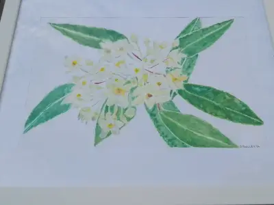 Cuadro de acuarela con flores enmarcado - miniatura 1