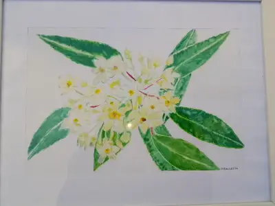 Cuadro de acuarela con flores enmarcado - miniatura 2