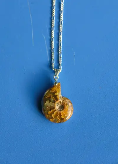 Collar de plata  con colgante de fósil de amonita - miniatura 1