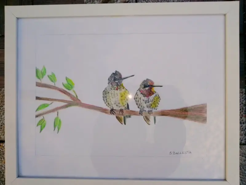 Cuadro enmarcado con ilustración de colibríes - 1