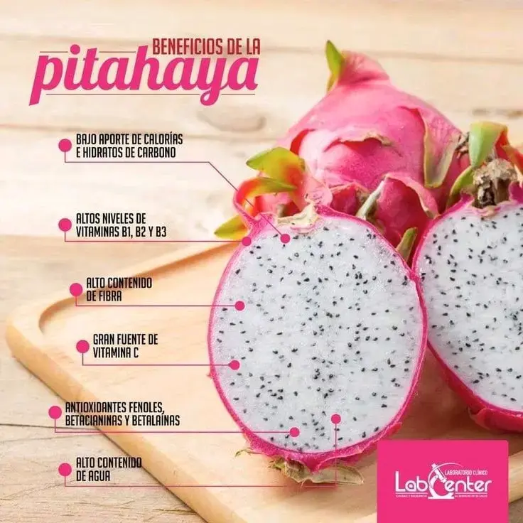Pack  de Plantas de Pitahayas / fruto del dragón - 3