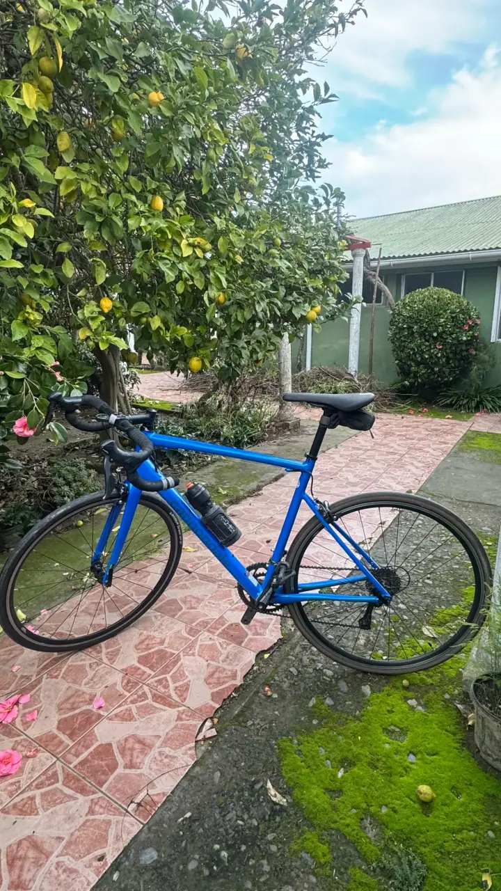 Cannondale Óptimo 2025