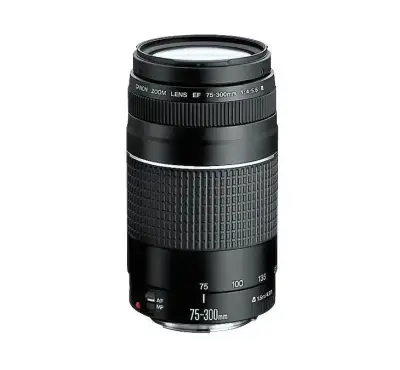 Lente Canon Zoom EF 75-300mm f/4-5.6 III - miniatura 1