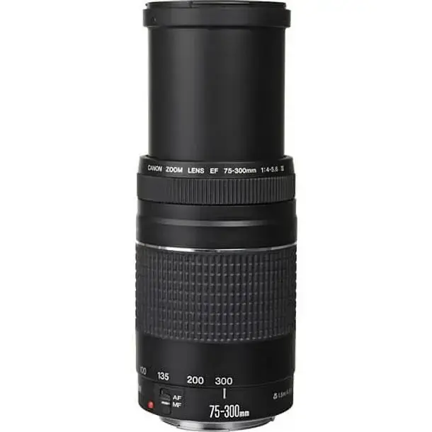 Lente Canon Zoom EF 75-300mm f/4-5.6 III - 2