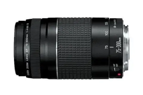 Lente Canon Zoom EF 75-300mm f/4-5.6 III - 3