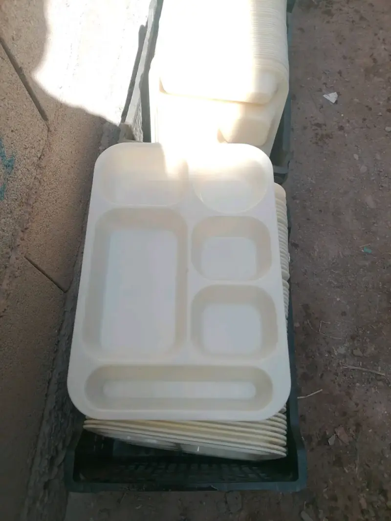 Bandejas de plástico con compartimentos