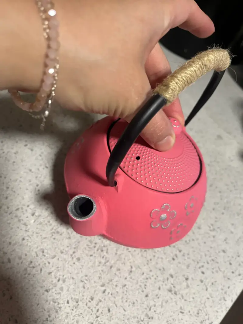 Tetera de hierro fundido rosa estilo japonés - 6
