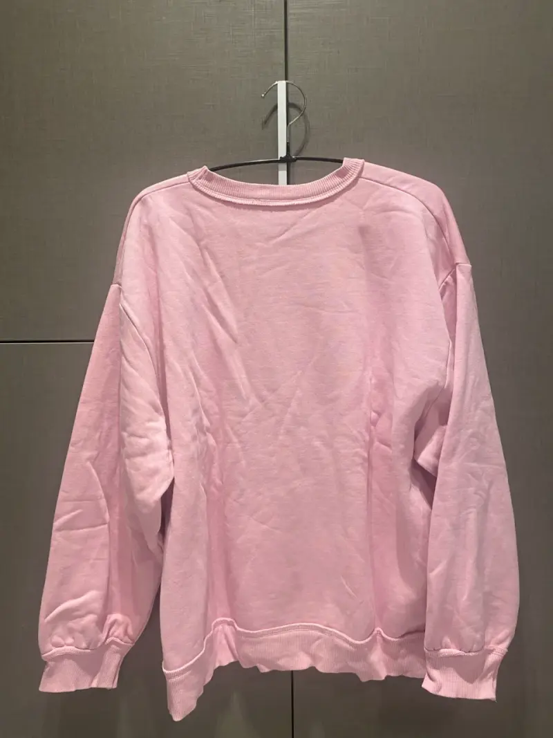 Polerón rosado Zara - 2