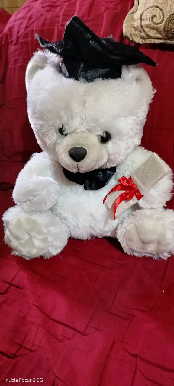 Lote de 6 peluches