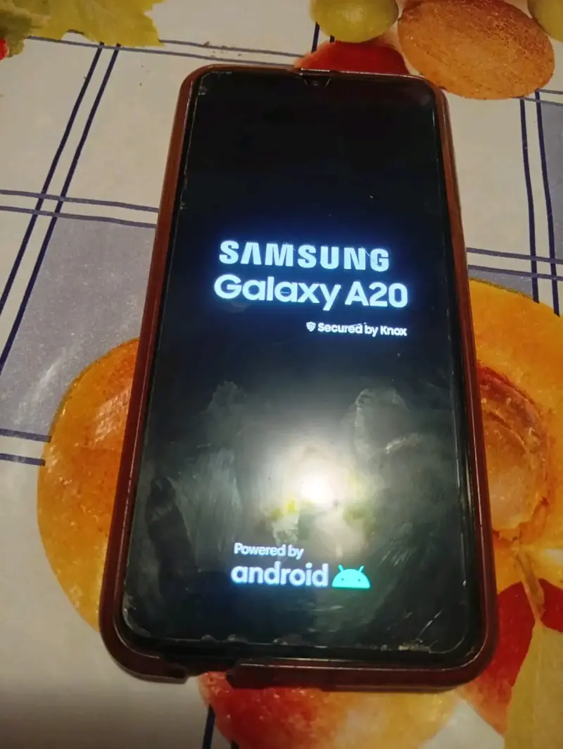 Samsung Galaxy A20 en buen estado - 2