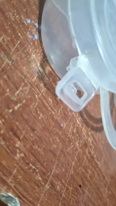 Caja organizadora de plástico en forma de mariposa - miniatura 4
